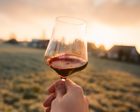 Fall in Love with Our Autumn Wine Selection 🍂🍷