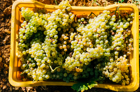 Why Seasonal Wine Pairings Matter