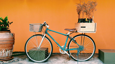 Nurturing Nature: Sustainable Winemaking Practices in New York's Vineyards